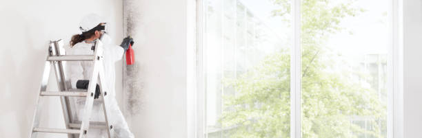 Best Indoor Air Quality Assessment  in Renton, WA