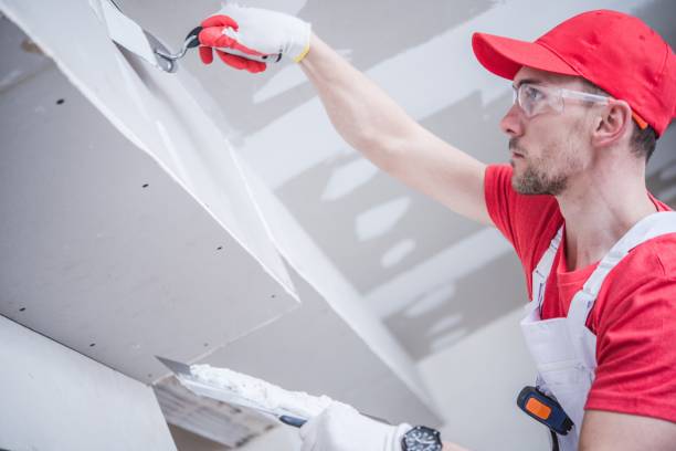 Best Environmental Consulting for Mold Prevention  in Renton, WA